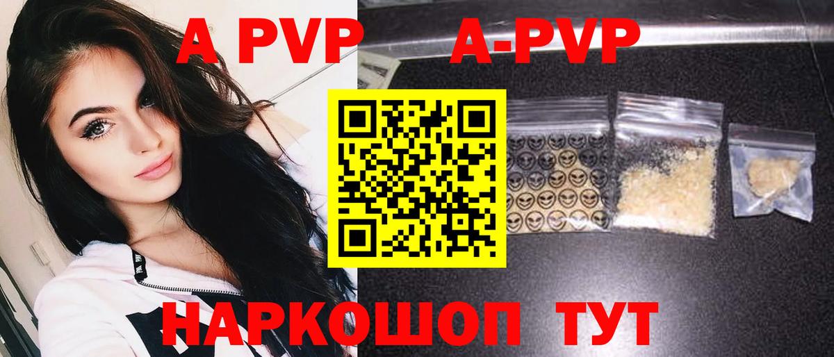A-PVP СК КРИС Элиста