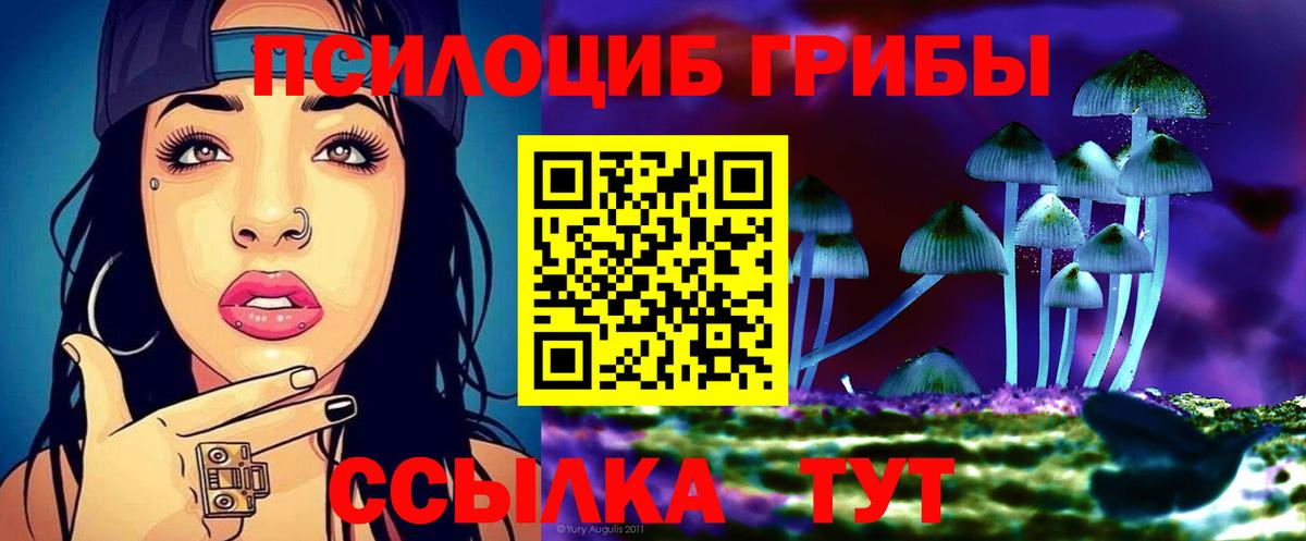 Псилоцибиновые грибы ЛСД Элиста