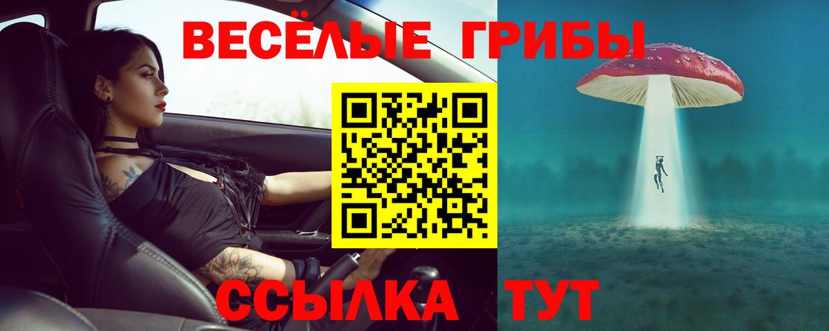 Псилоцибиновые грибы Psilocybe  Галлюциногенные грибы Cubensis  Элиста  Вход с VPN 